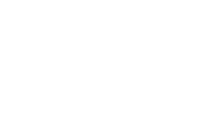 Hornet - logo